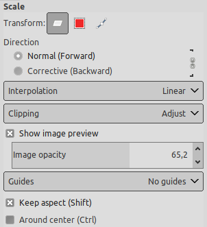 Tool options for the Scale tool